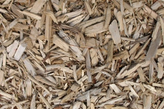 biomass boilers Mithian